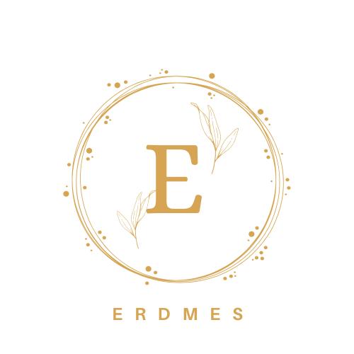 Erdmes Logo